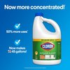 Clorox ProResults Regular Scent Outdoor Bleach 121 oz 32437